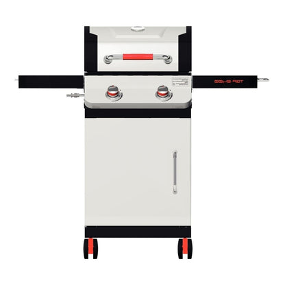 TGP 2400 Stainless Steel 2-Burner Gas Grill